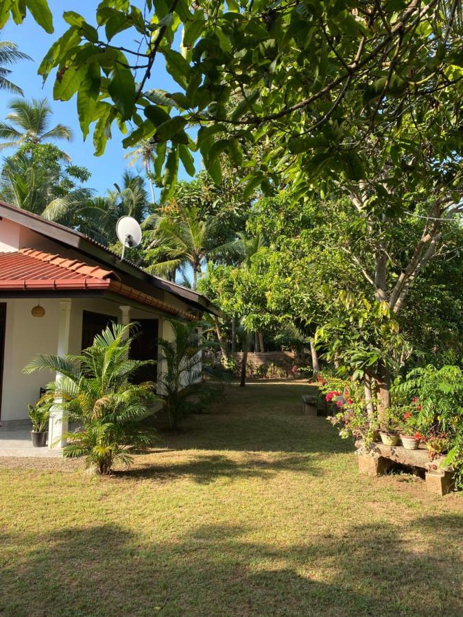 Mango Villa Hikkaduwa Exterior photo